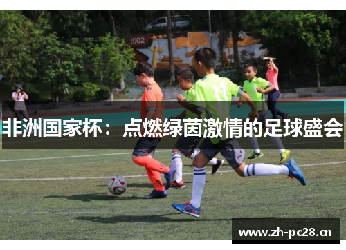 非洲国家杯:点燃绿茵激情的足球盛会 非洲国家杯:点燃绿茵激情的足球盛会